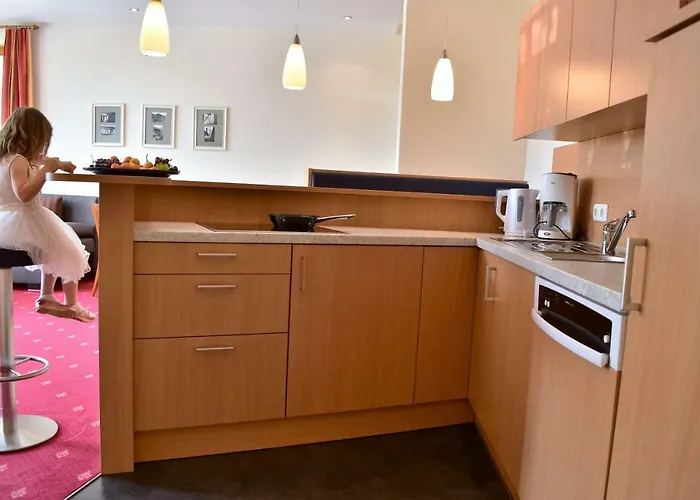 公寓式酒店 Neier